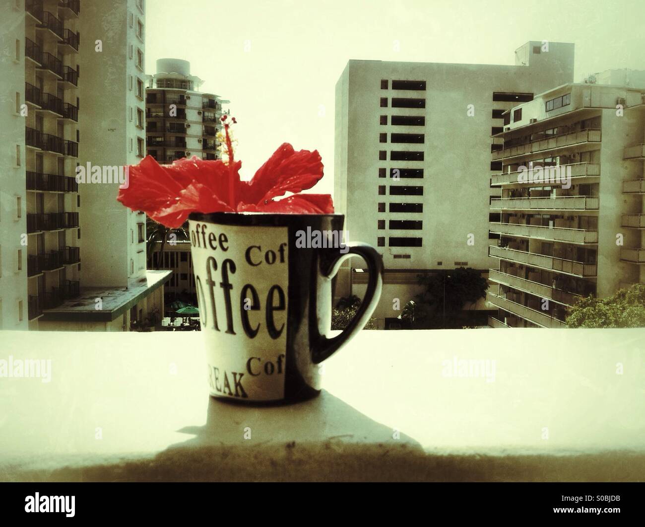 Red hibiscus flower in a coffee mug on lanai in Honolulu - Smartphone Captured Stock Image
