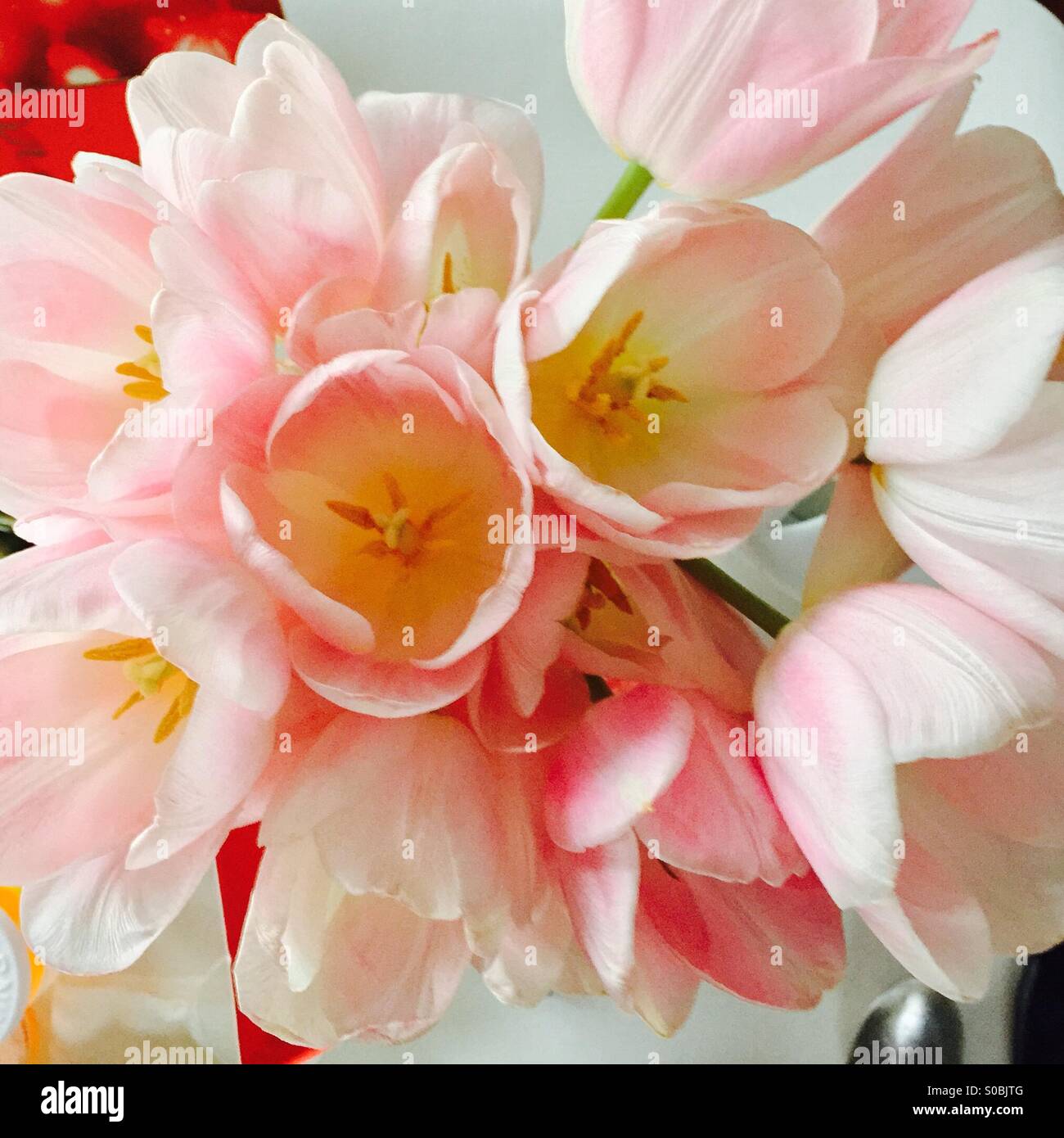 Valentine flowers - Smartphone Captured Stock Image
