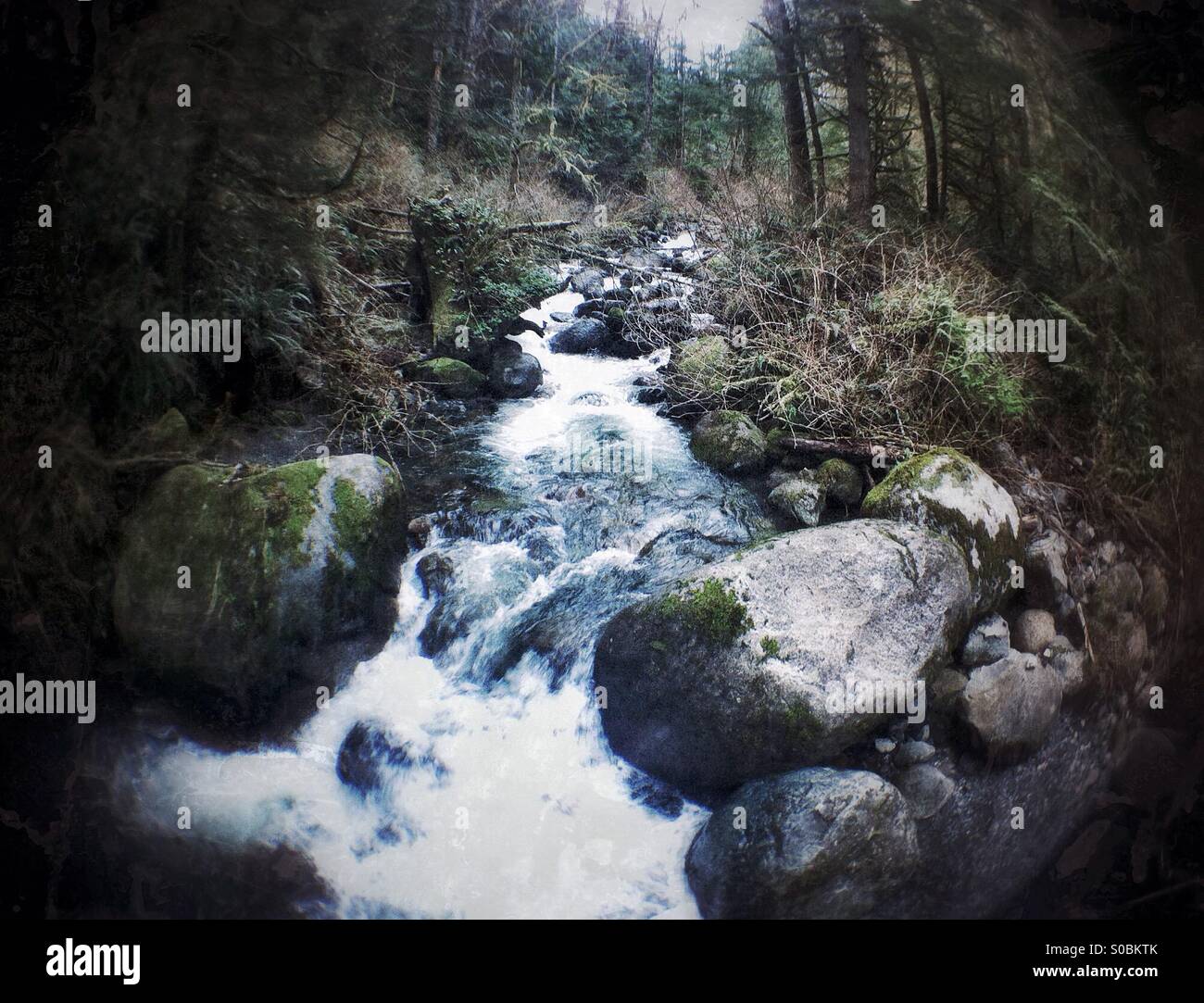 Rocky stream in the mountains of the Pacific Northwest - Smartphone Captured Stock Image Rocky stream in the mountains of the Pacific Northwest - Smartphone Captured Stock Image