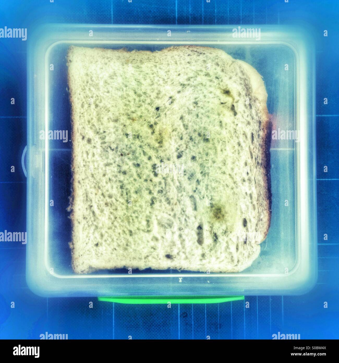 White bread sandwich in a plastic lunch box. Stock Photo