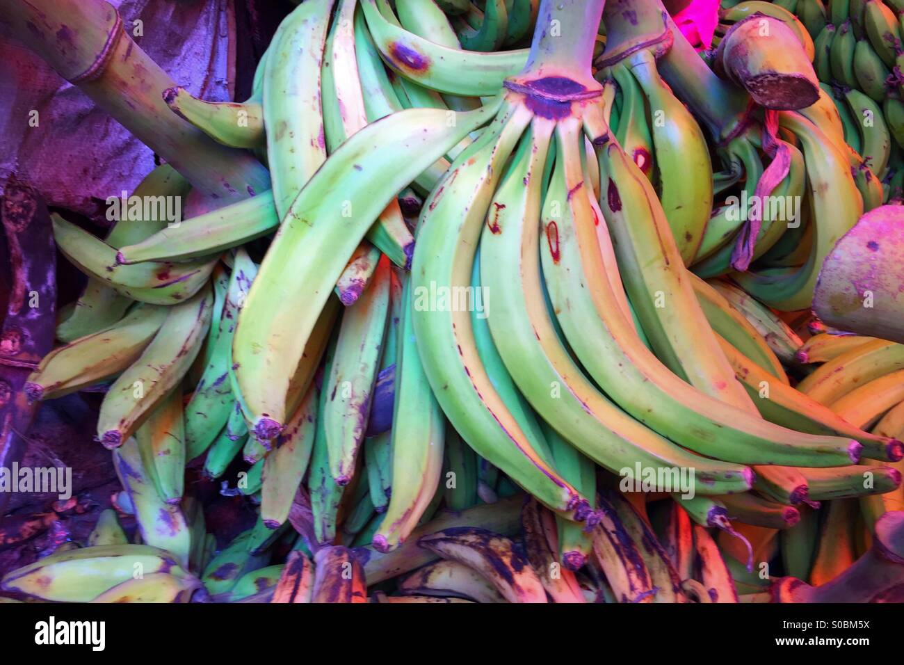 Bunch of ripe plantains in a local African market - Smartphone Captured Stock Image