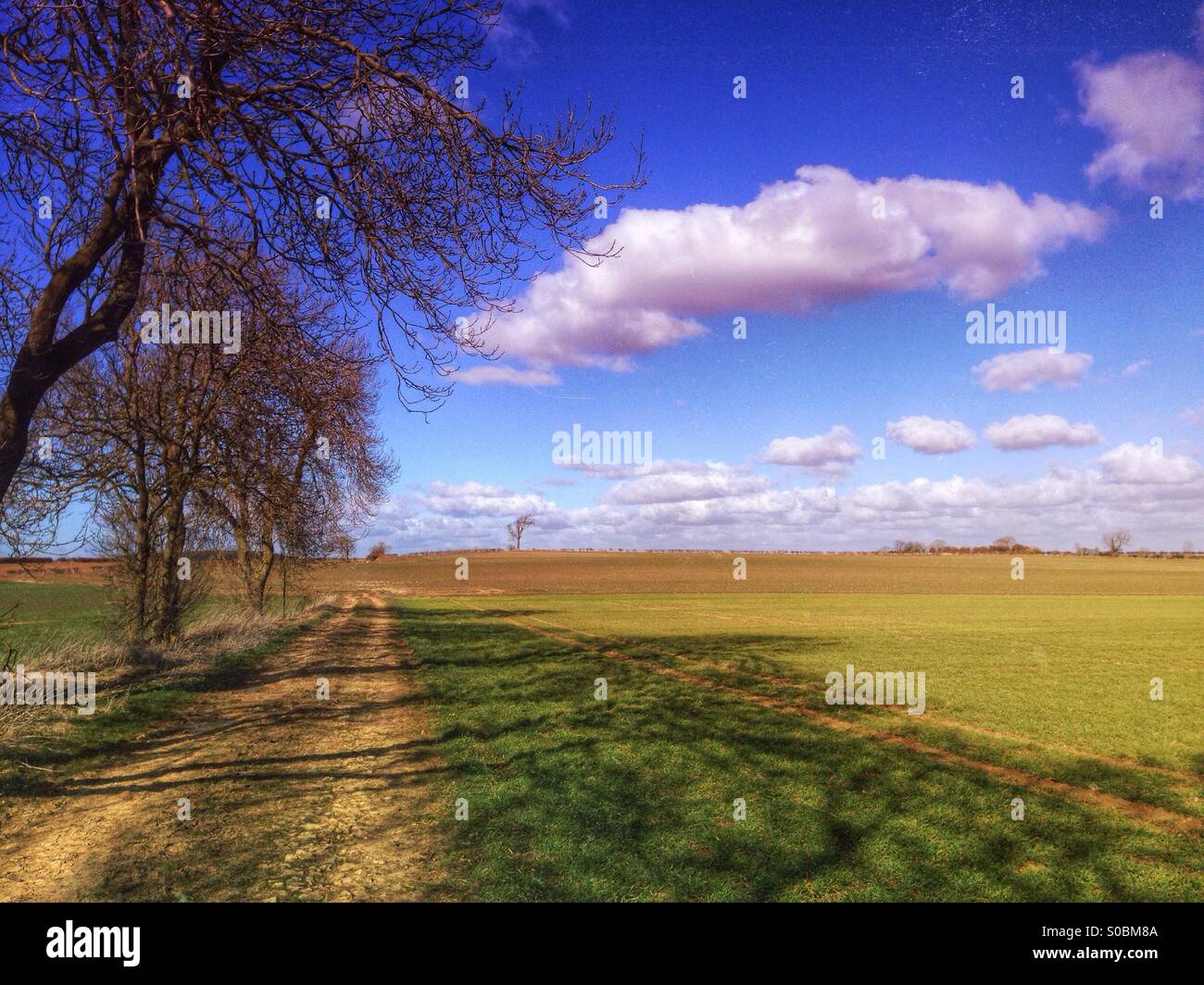 Public Bridleway. Sudbrook, Lincolnshire, England. - Smartphone Captured Stock Image
