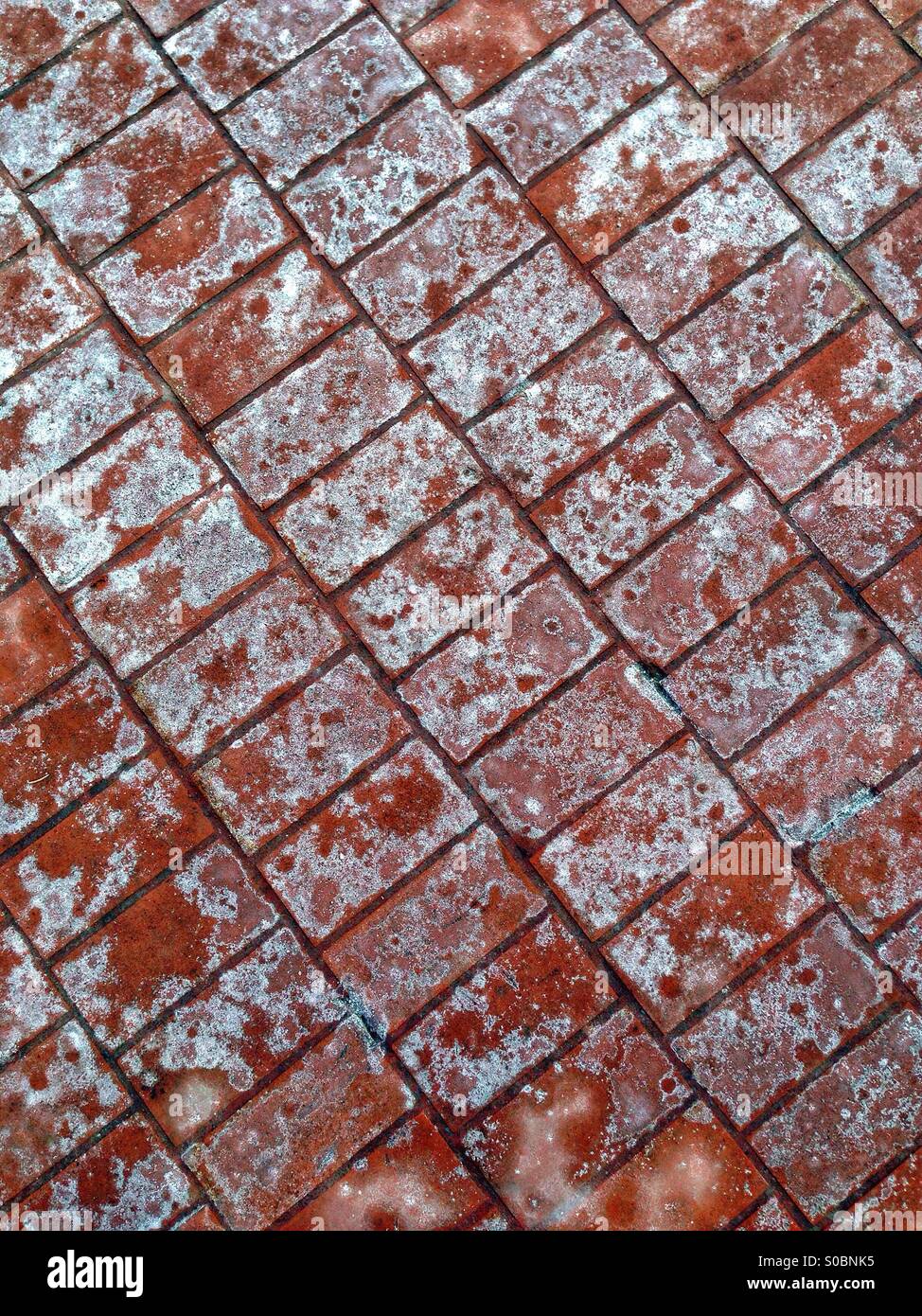 Salt-stained brick pavement. - Smartphone Captured Stock Image