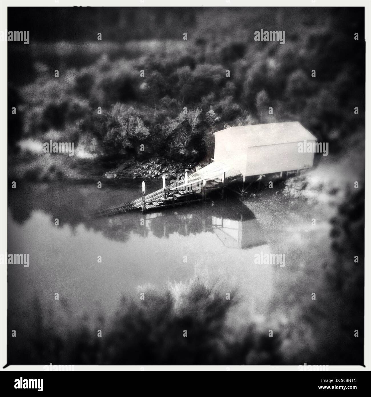 Boathouse and ramp on beach surrounded by forest - Smartphone Captured Stock Image