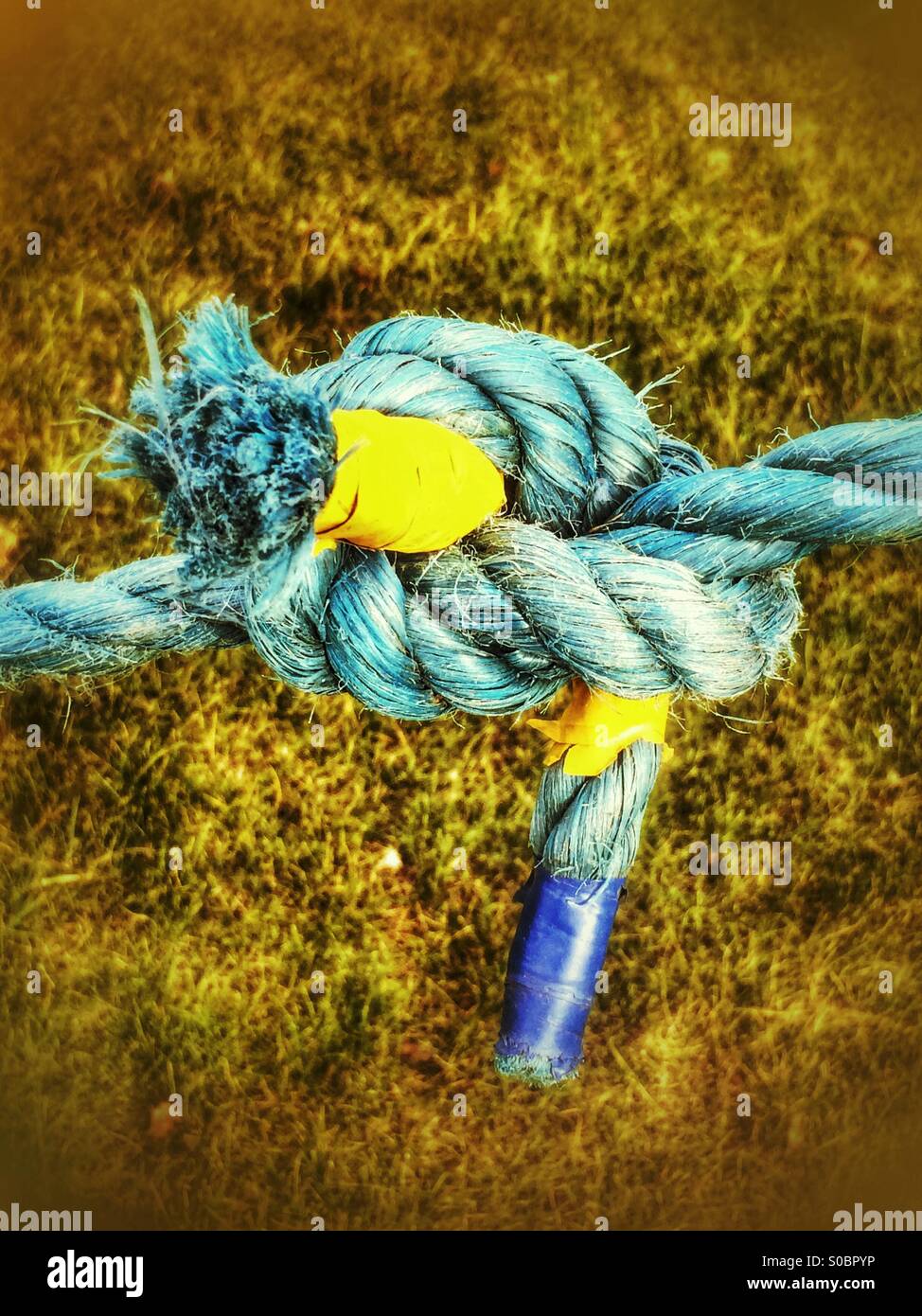 Knotted rope - Smartphone Captured Stock Image