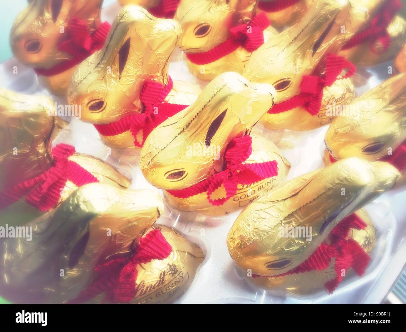 Chocolate Easter bunnies Stock Photo