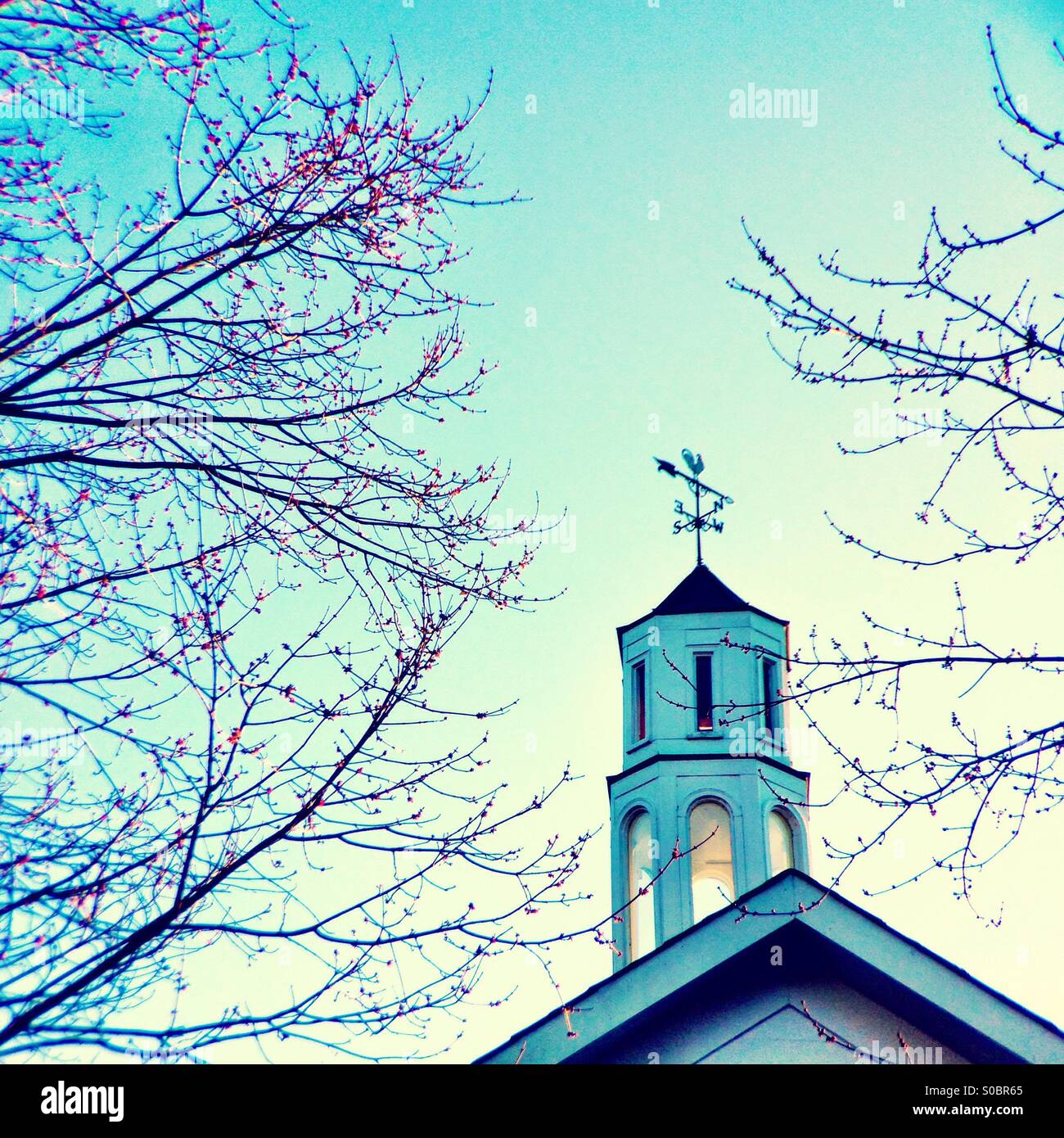 Weathervane on a cupola. - Smartphone Captured Stock Image