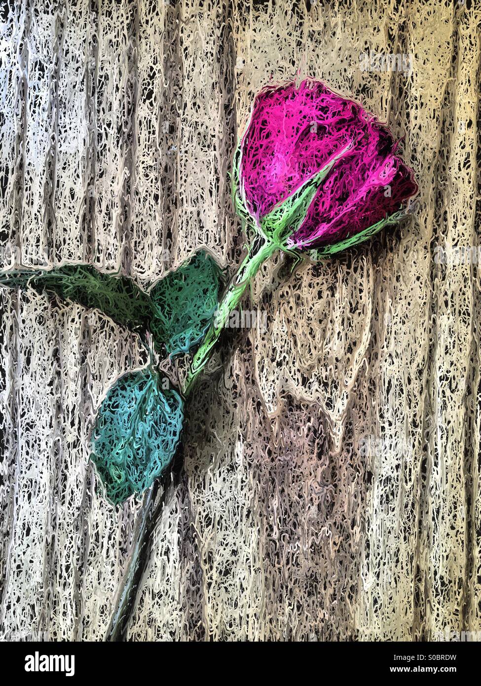Art effect on a single rose - Smartphone Captured Stock Image