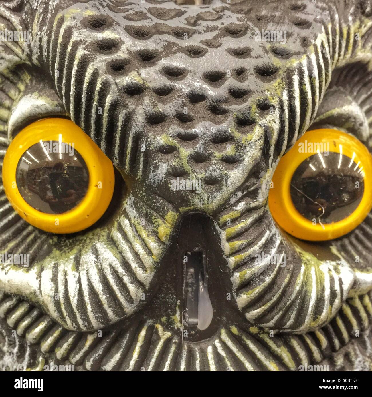 Close up of the face of a plastic owl. - Smartphone Captured Stock Image