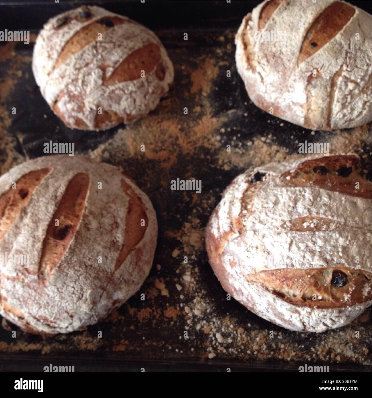 Fresh sourdough bread Stock Photo