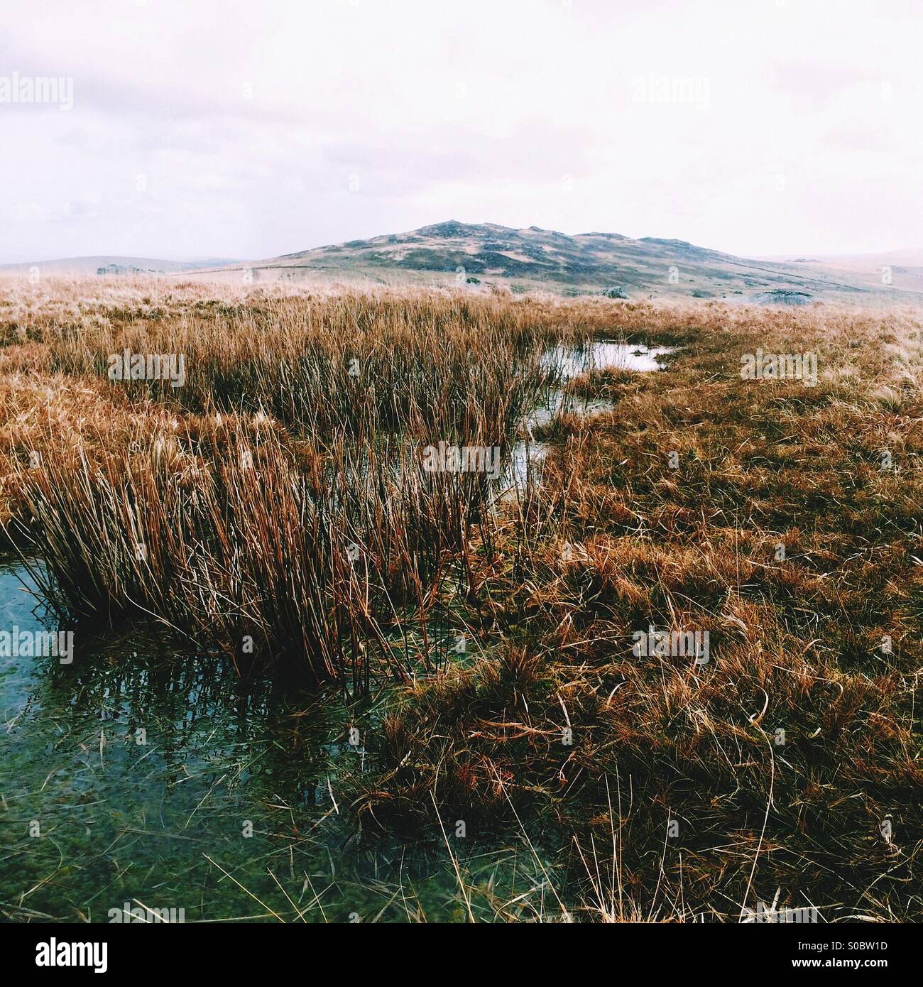 View over Bodmin Moor, Cornwall Stock Photo