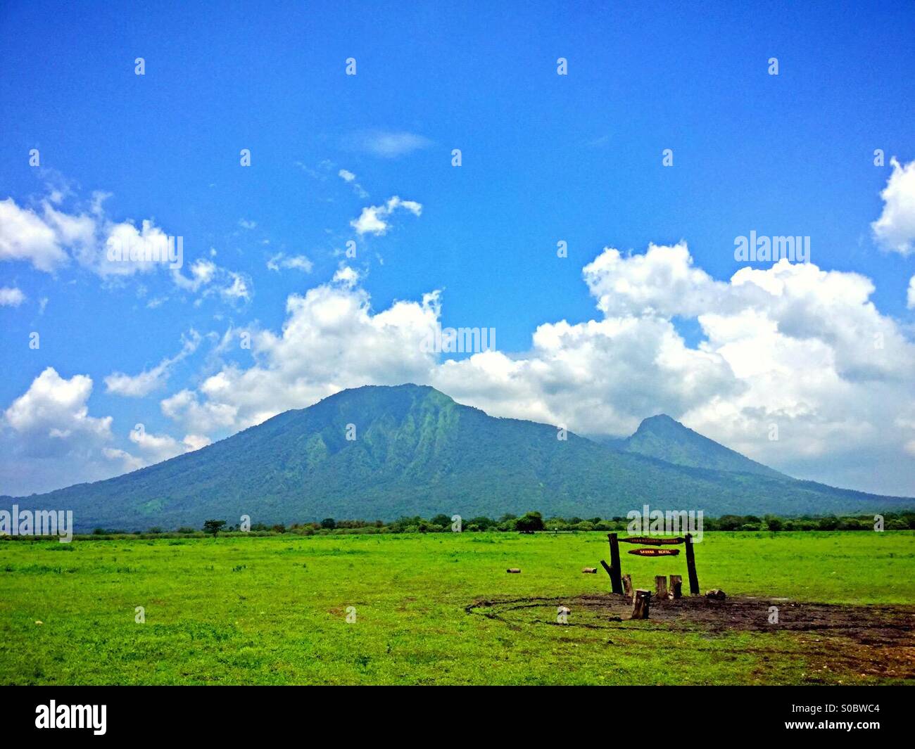 national park indonesia baluran Stock Photo