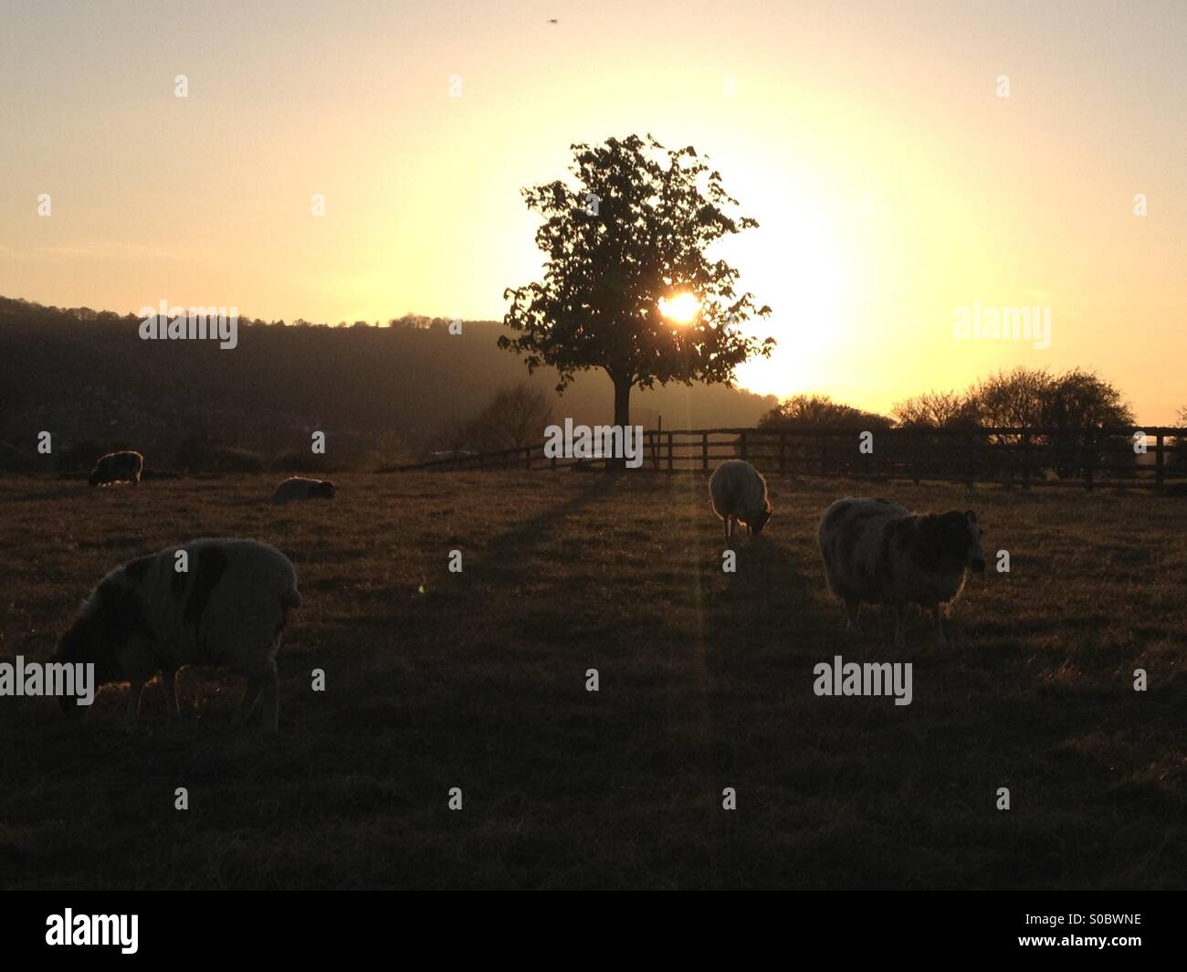 West Country Sunset Stock Photo