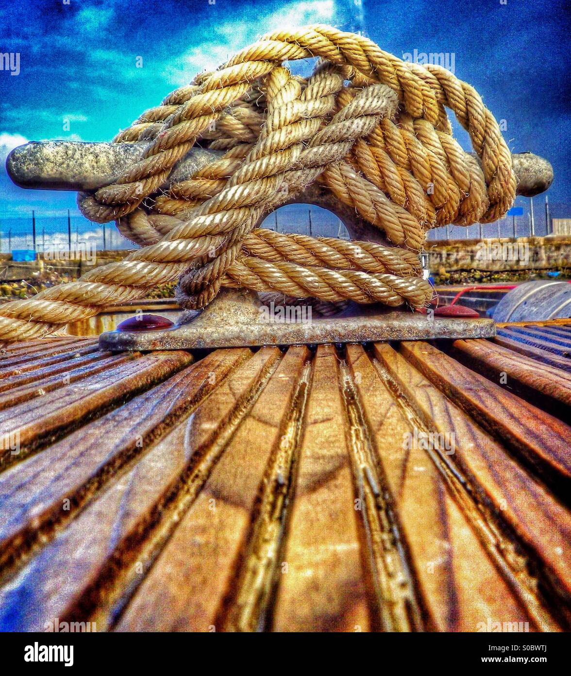 Secure knot - Smartphone Captured Stock Image