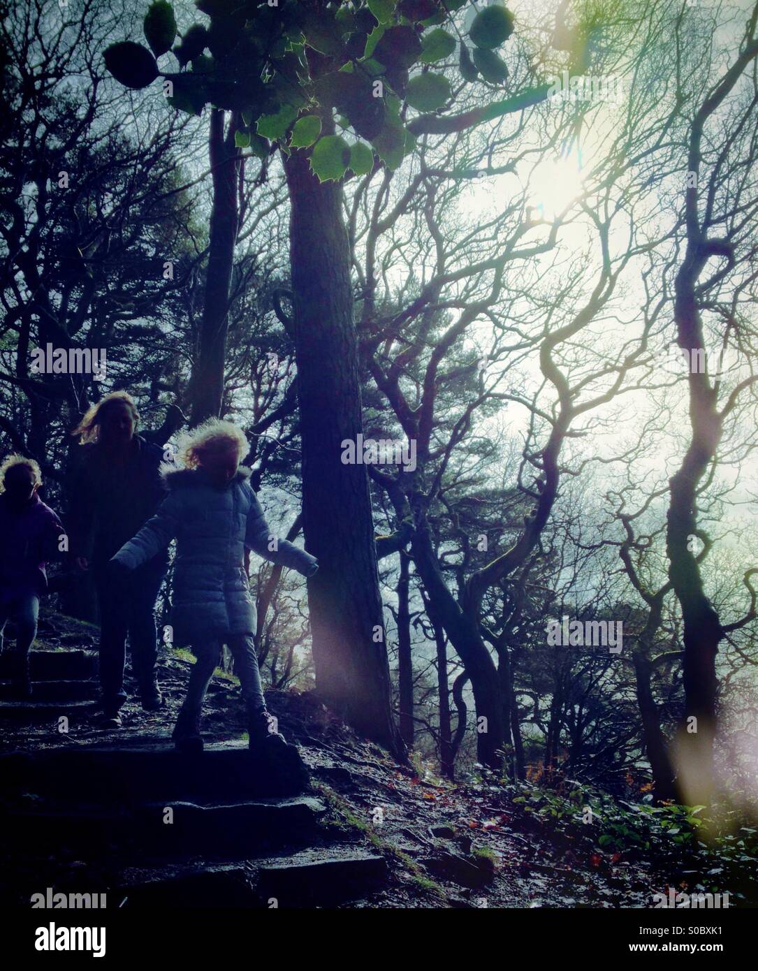 Woman and two girls walking in ethereal forest - Smartphone Captured Stock Image