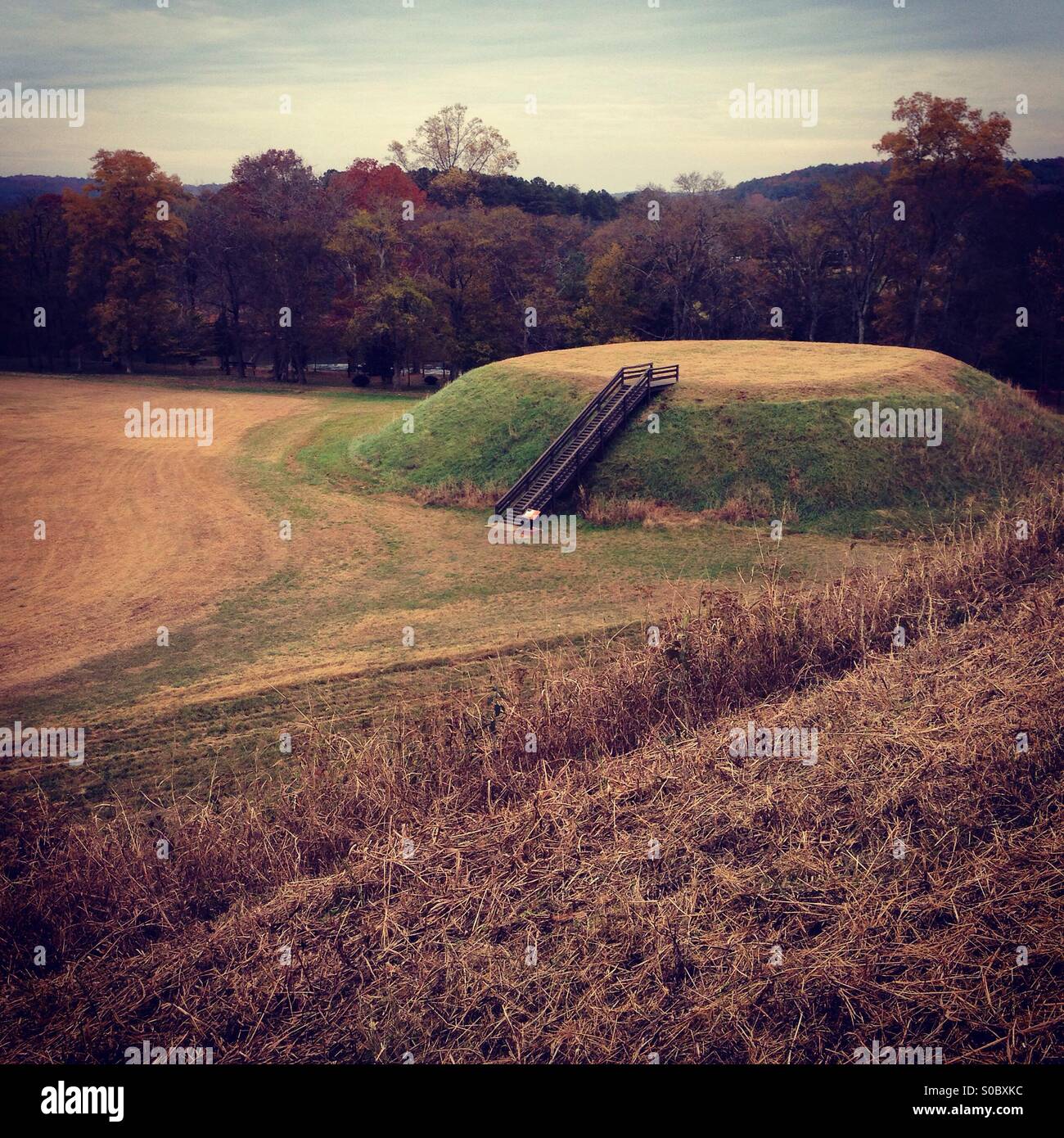 Etowah Indian mounds Stock Photo Alamy