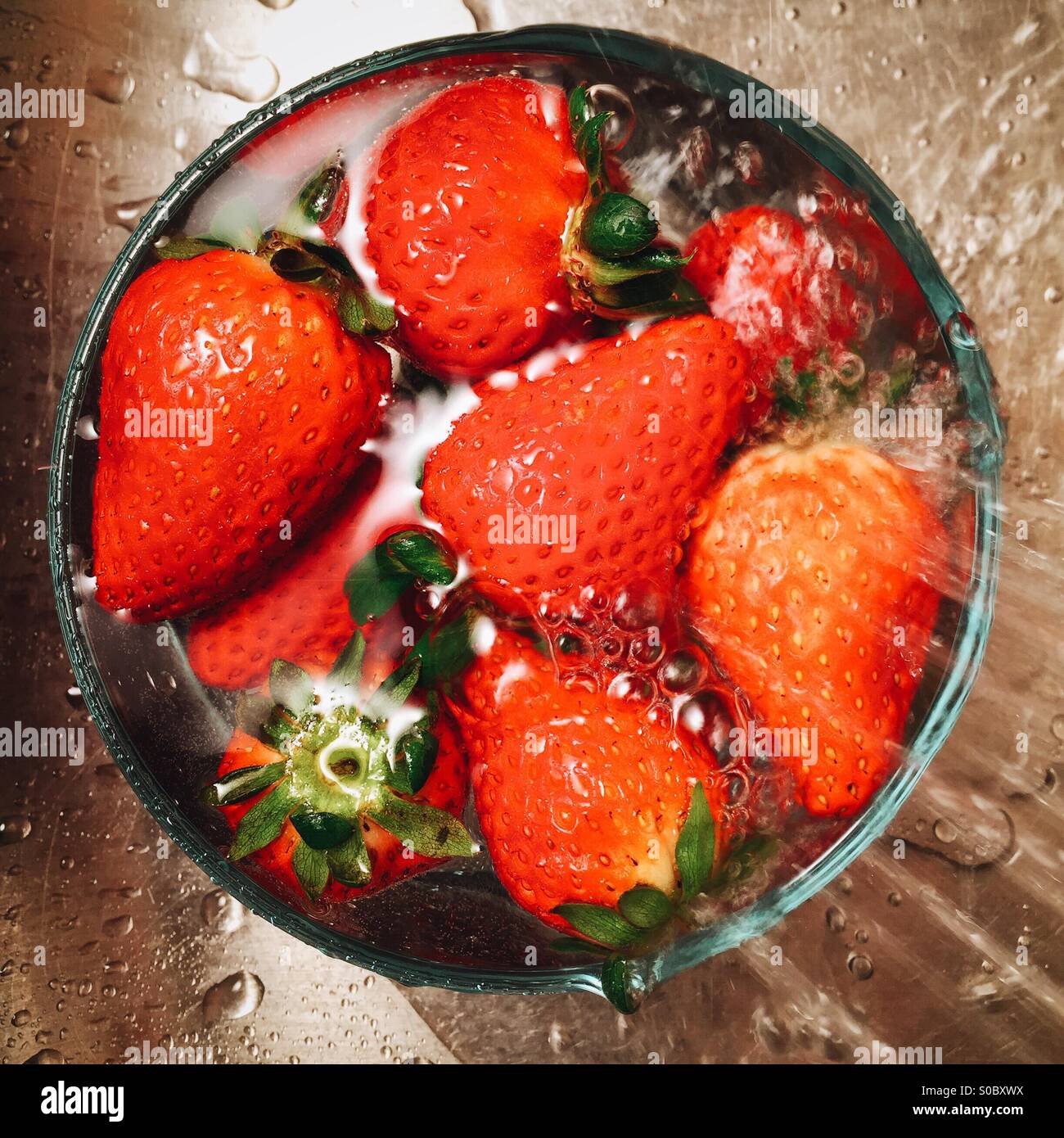 A small bowl of organic strawberries being washed in a stainless steel sink. Stock Photo