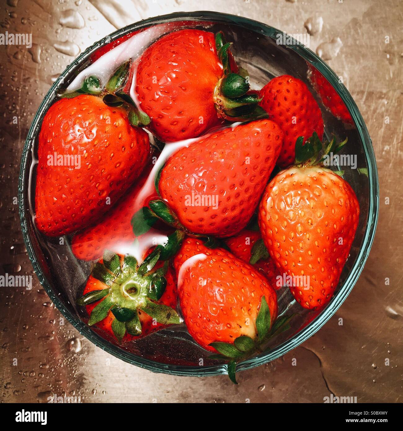 As small bowl full of organic strawberries being washed in a stainless steel sink. Stock Photo