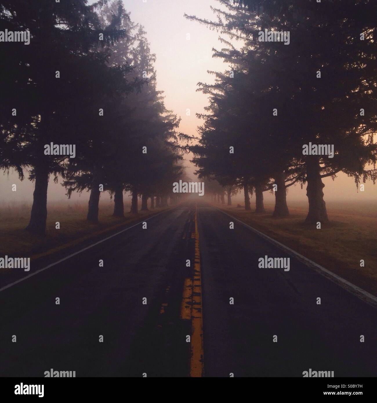 Road with fog at sunrise hi-res stock photography and images - Alamy