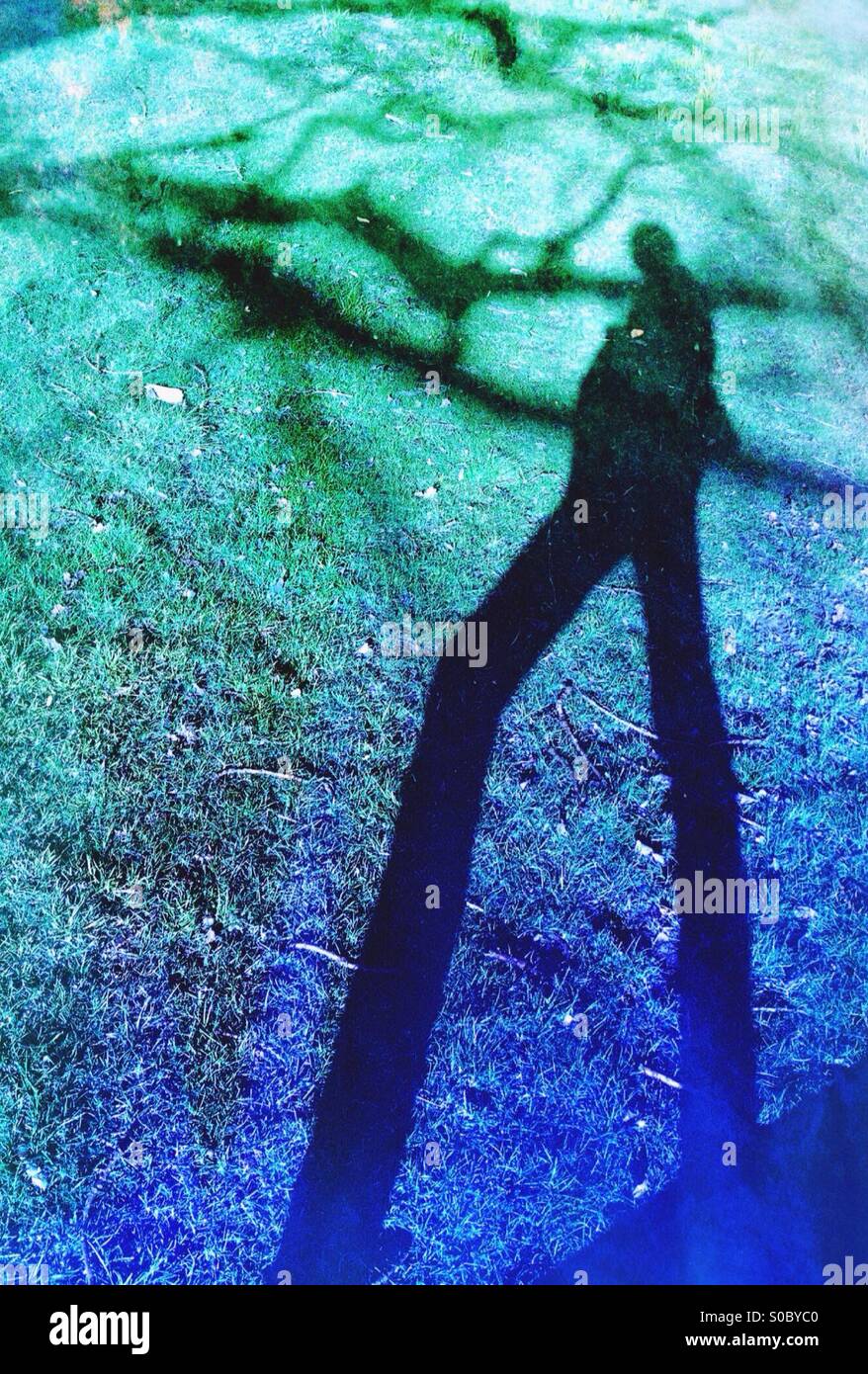 Reflection of a woman - Smartphone Captured Stock Image