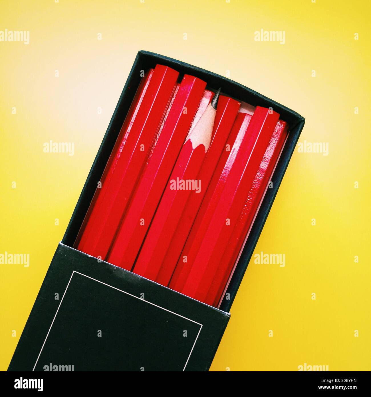 A Single Sharpened Pencil In A Box Of Unsharpened Pencils Stock Photo 