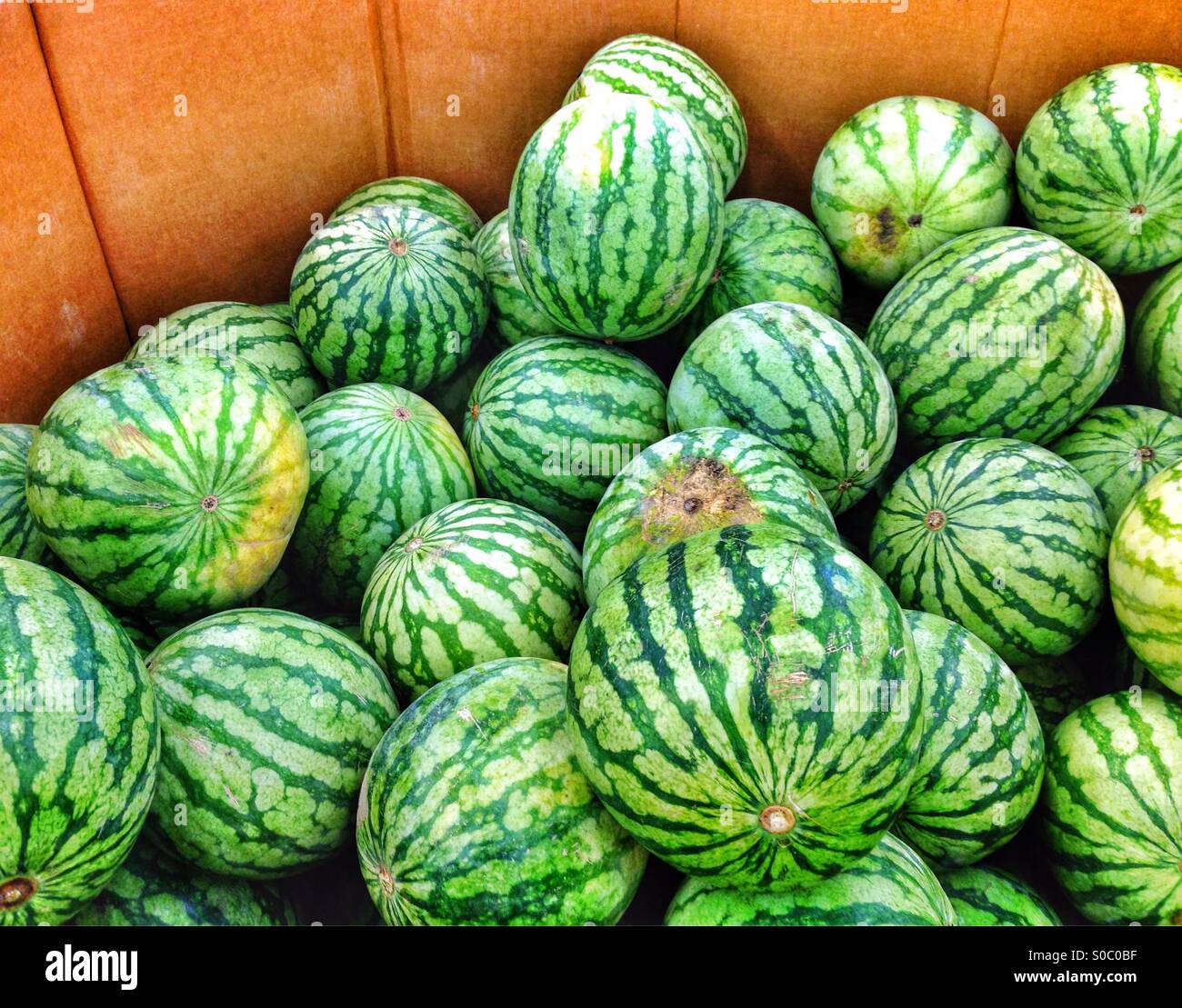 Watermelons sale hires stock photography and images Alamy