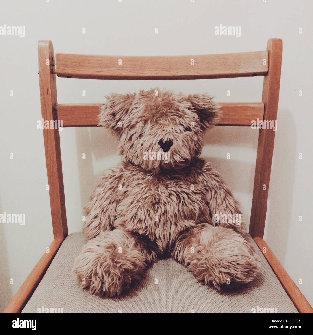 Teddy bear on a chair. Stock Photo