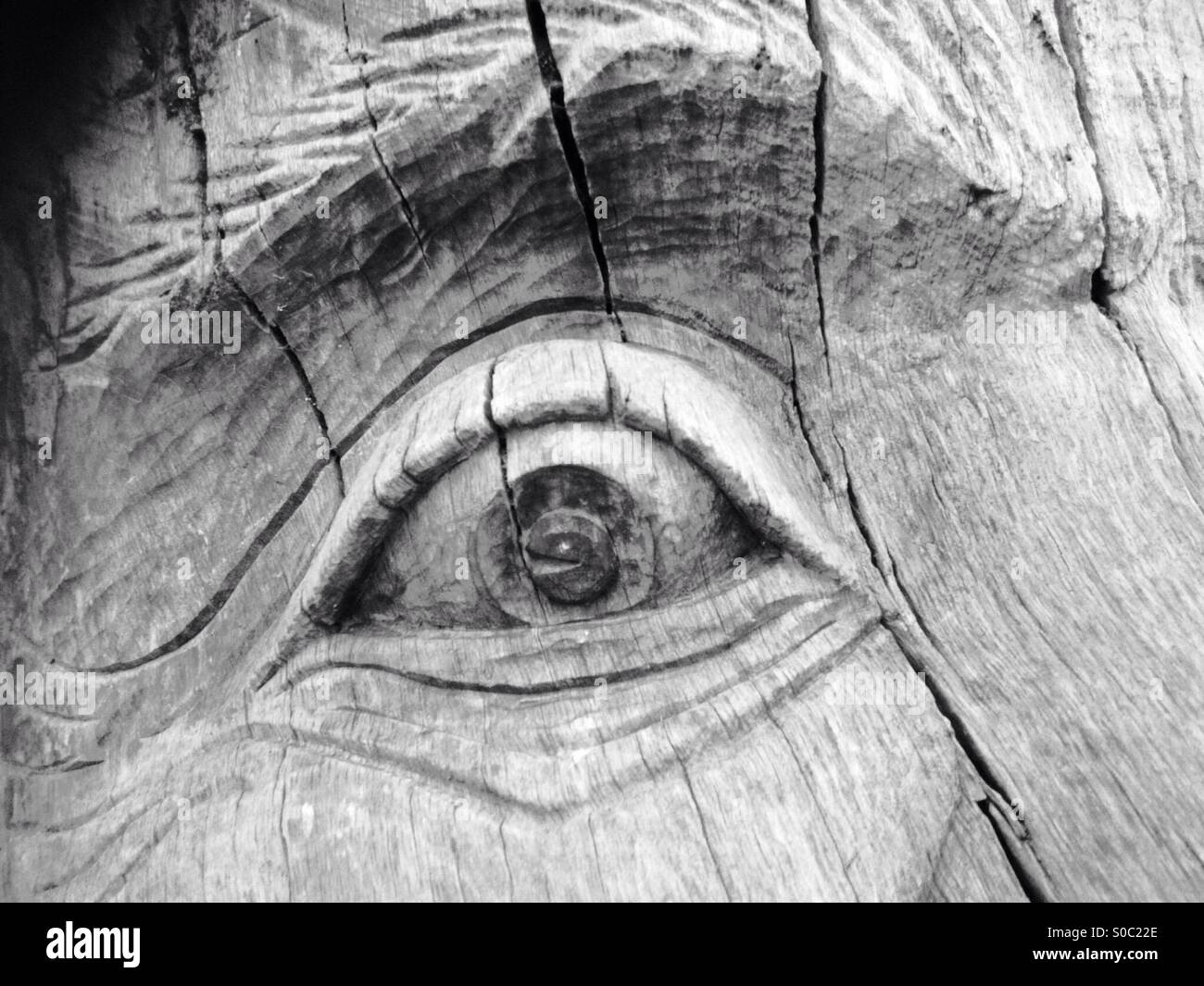 Eye detail on tree carving. - Smartphone Captured Stock Image