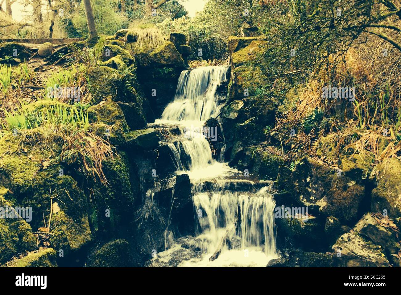 Small waterfall in Clyne Gardens near Swansea, UK. - Smartphone Captured Stock Image