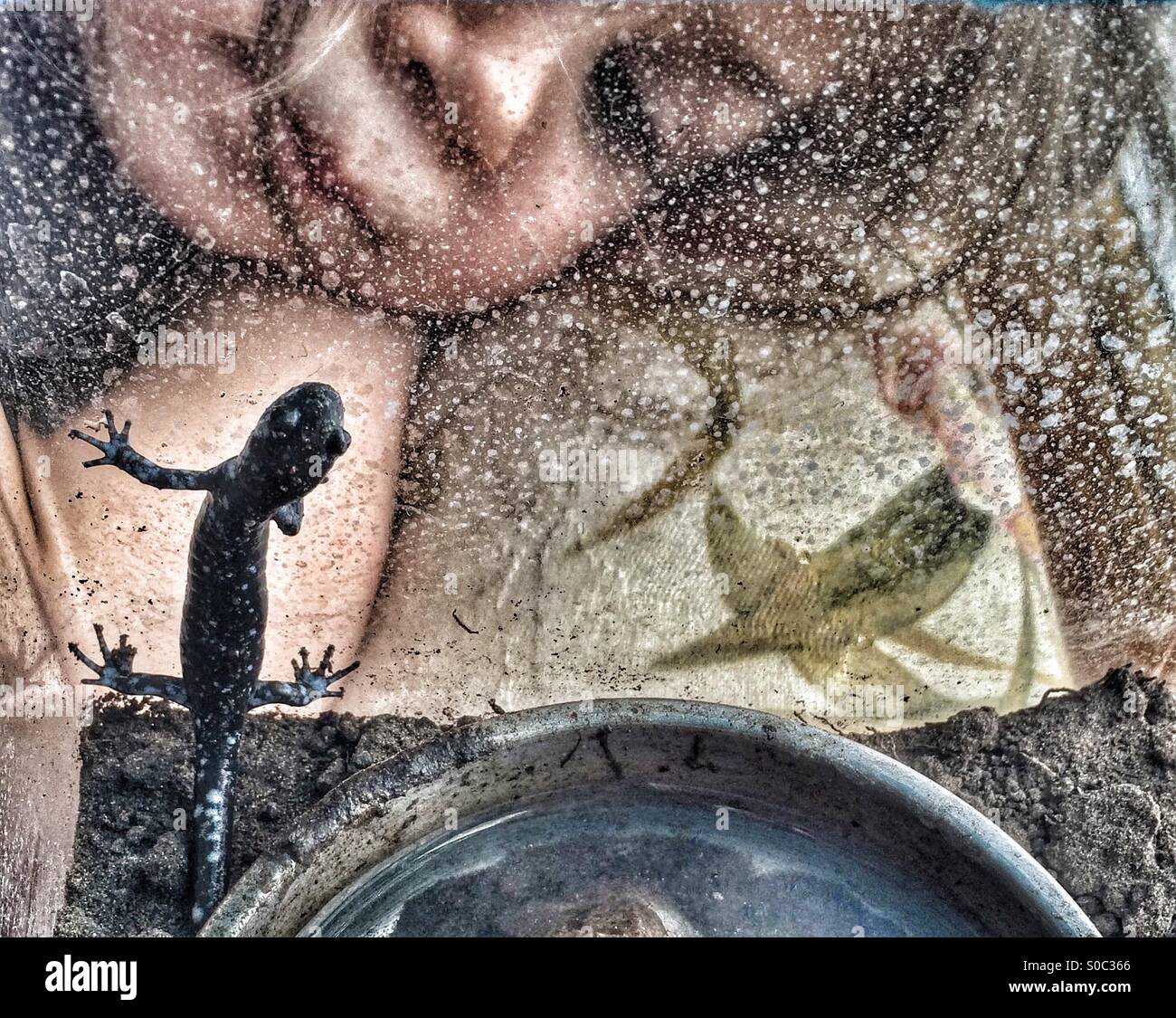 Little Girl and Pet Salamander Look at Each Other Stock Photo