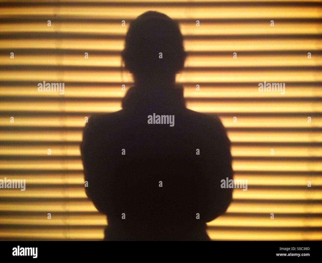 Woman enjoying the warmth of the setting sun coming through the blinds (shadow selfie). - Smartphone Captured Stock Image