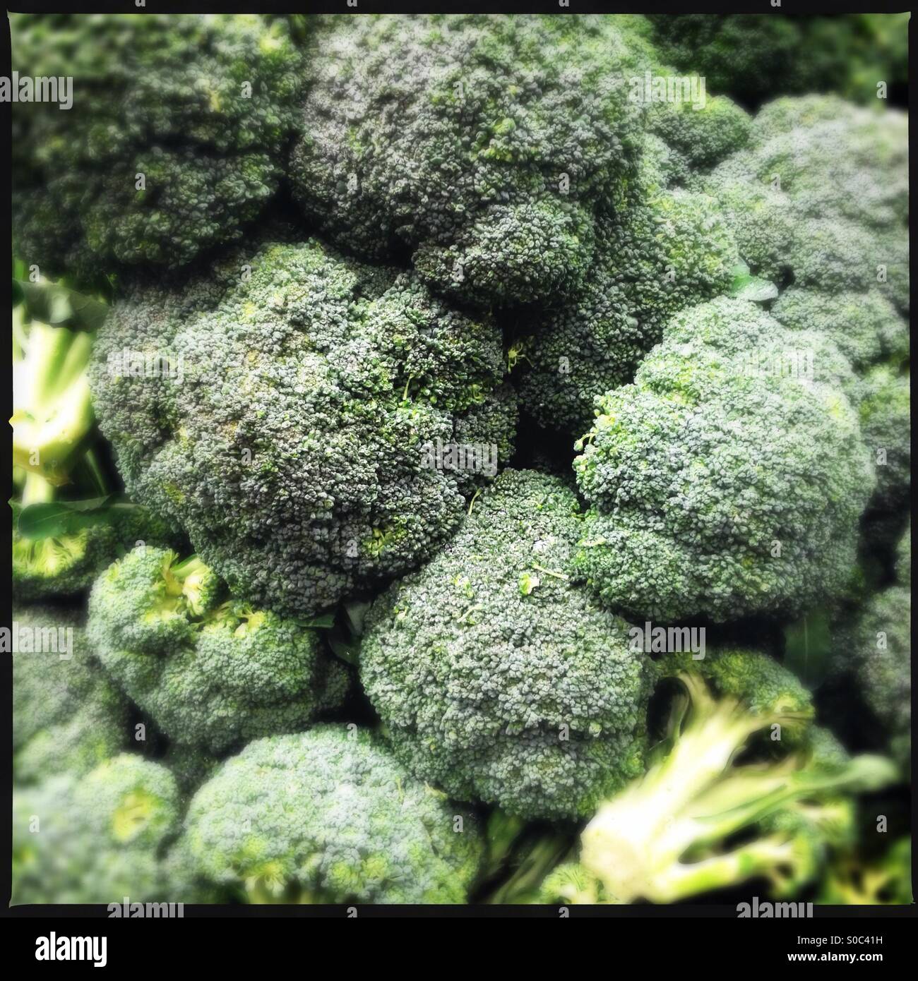 Eat Your Broccoli Stock Photo - Alamy