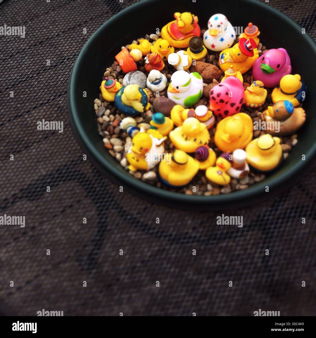 Bowl of ducks Stock Photo Alamy