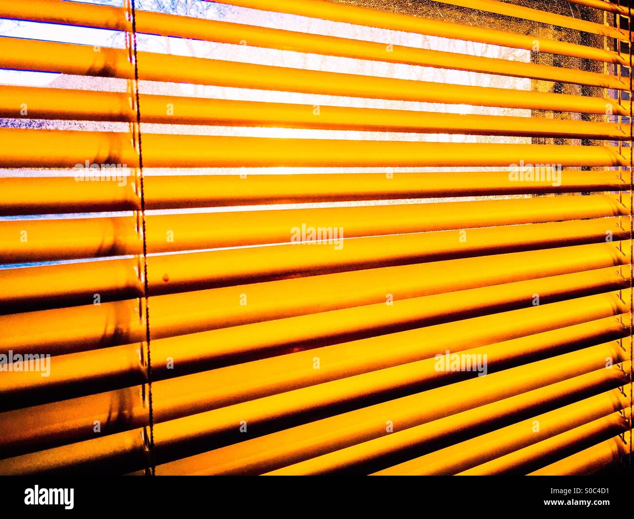 Golden blind - Smartphone Captured Stock Image