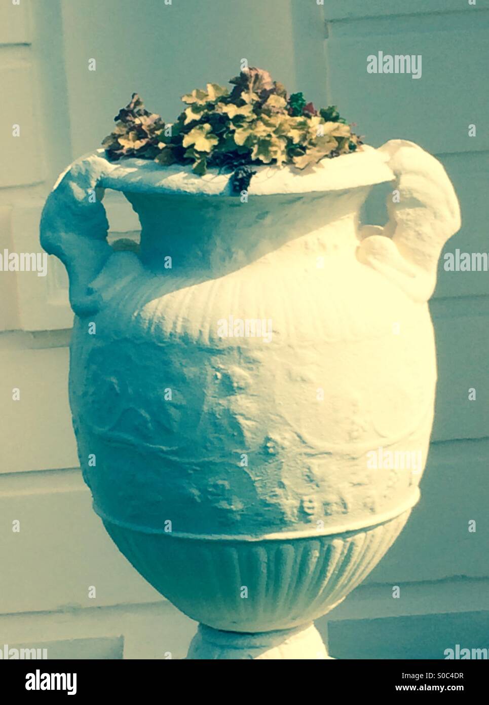 White pot with flowers - Smartphone Captured Stock Image