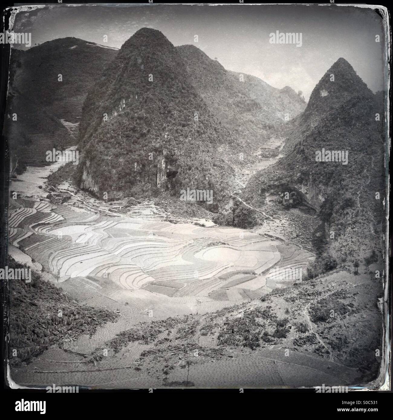 Farming terraces surrounded by karst mountains near dong van, ha giang, Vietnam - Smartphone Captured Stock Image