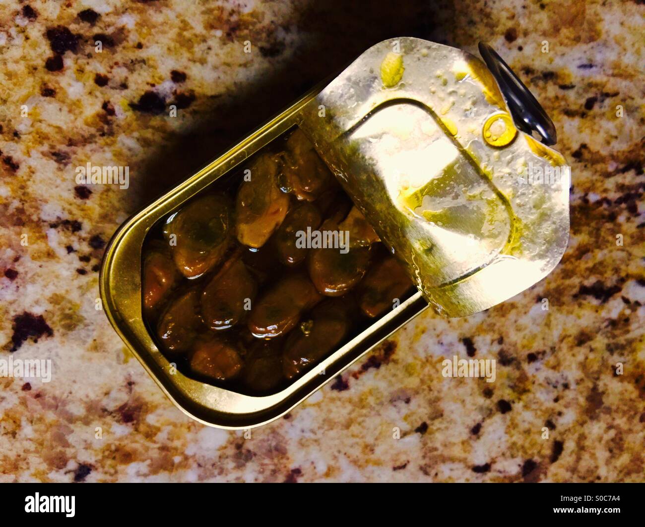 Smoked oysters - Smartphone Captured Stock Image