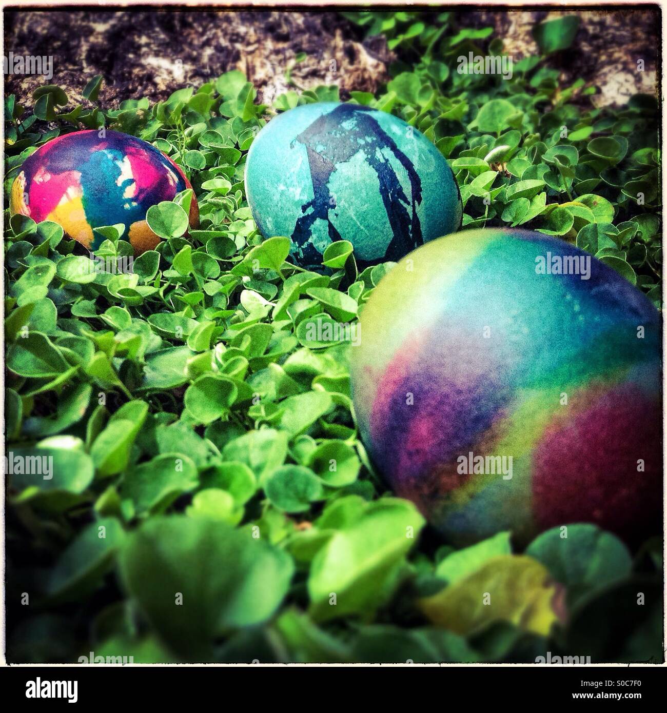 Three colorful easter eggs on grass background - Smartphone Captured Stock Image