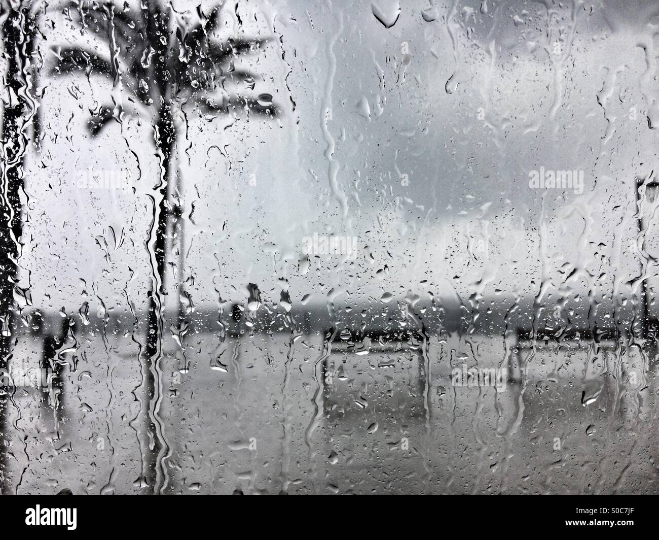 Empty bank on the Promenade in a rainy day - Smartphone Captured Stock Image