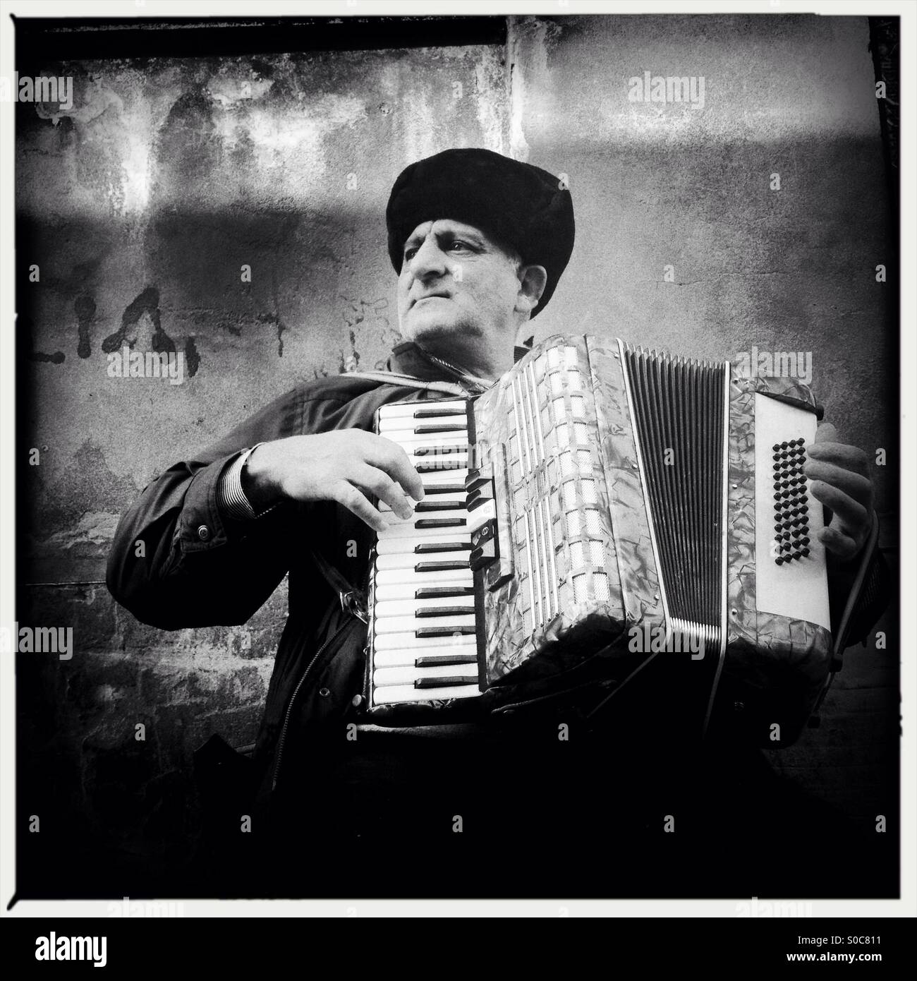 Portrait of an accordion player in London Stock Photo Alamy