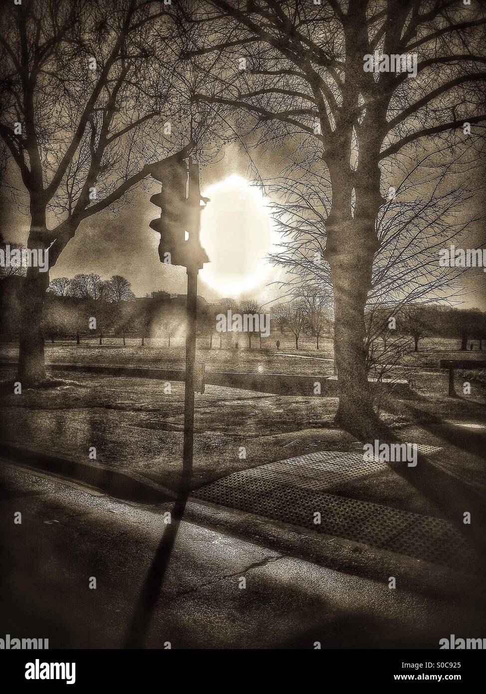 Sunrise over Peckham Rye park - Smartphone Captured Stock Image