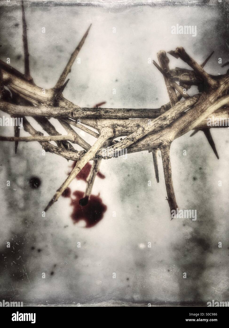 Crown of thorns with blood. - Smartphone Captured Stock Image