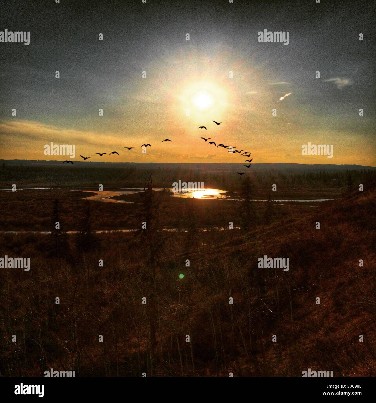Sunset landscape with river and flying birds - Smartphone Captured Stock Image