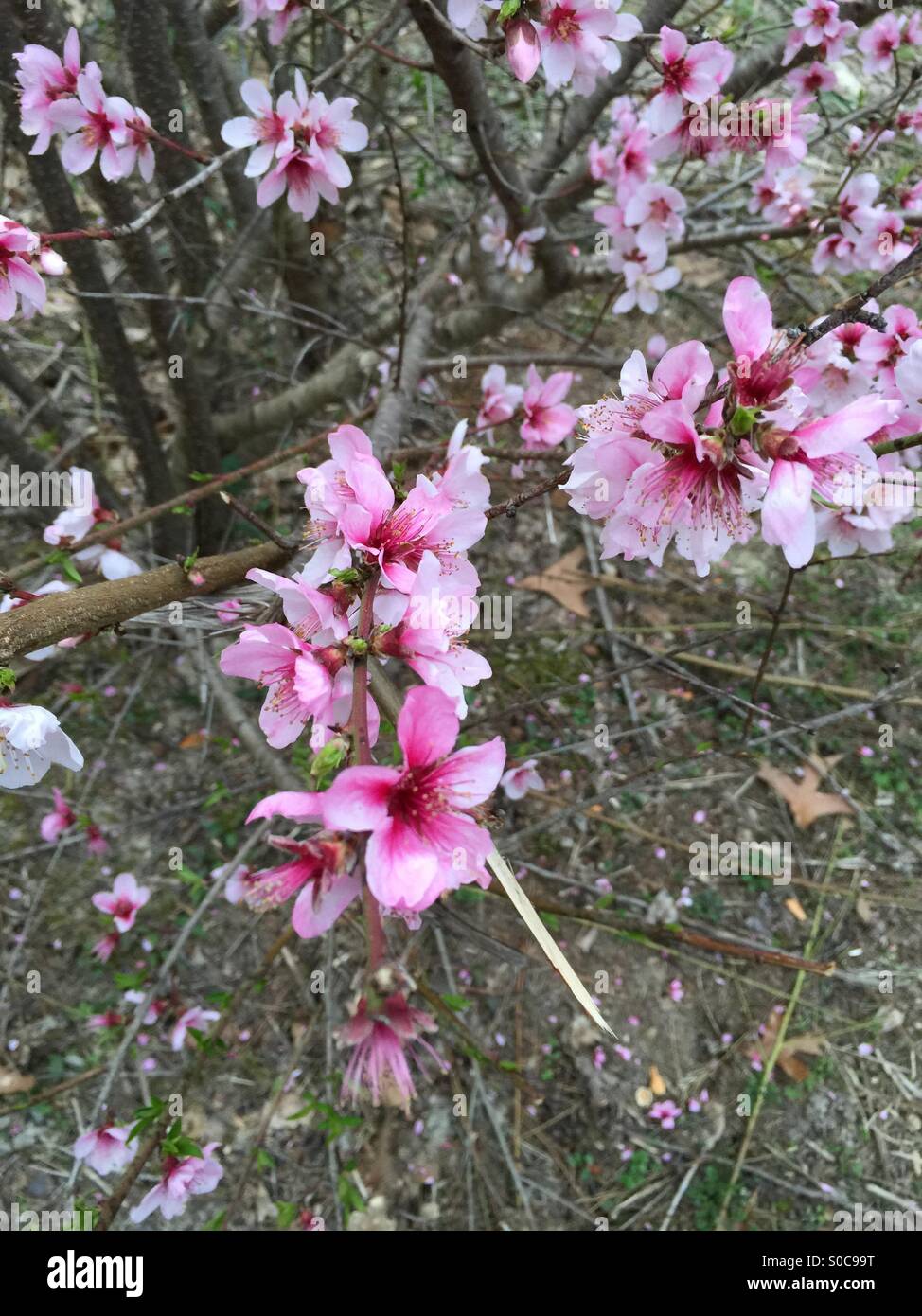 Spring warm weather hi-res stock photography and images - Alamy