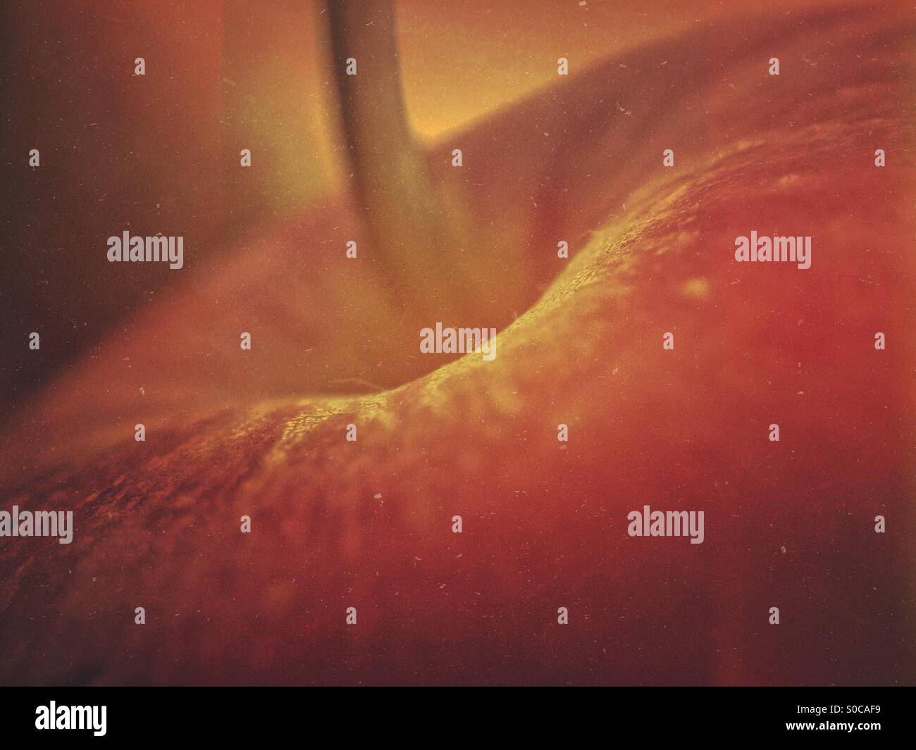 Top of an apple - Smartphone Captured Stock Image