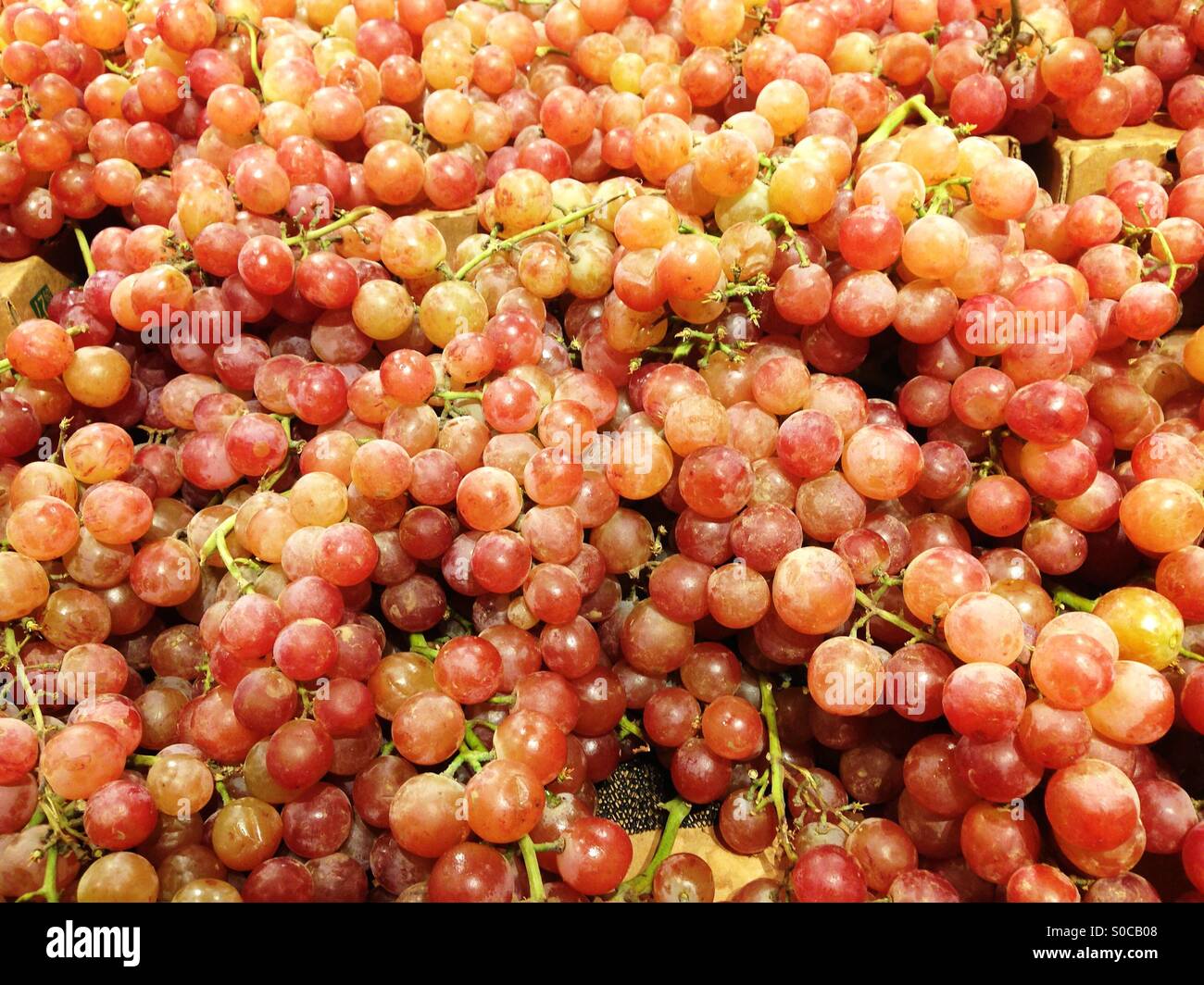 Fresh fruit bunches hires stock photography and images Alamy