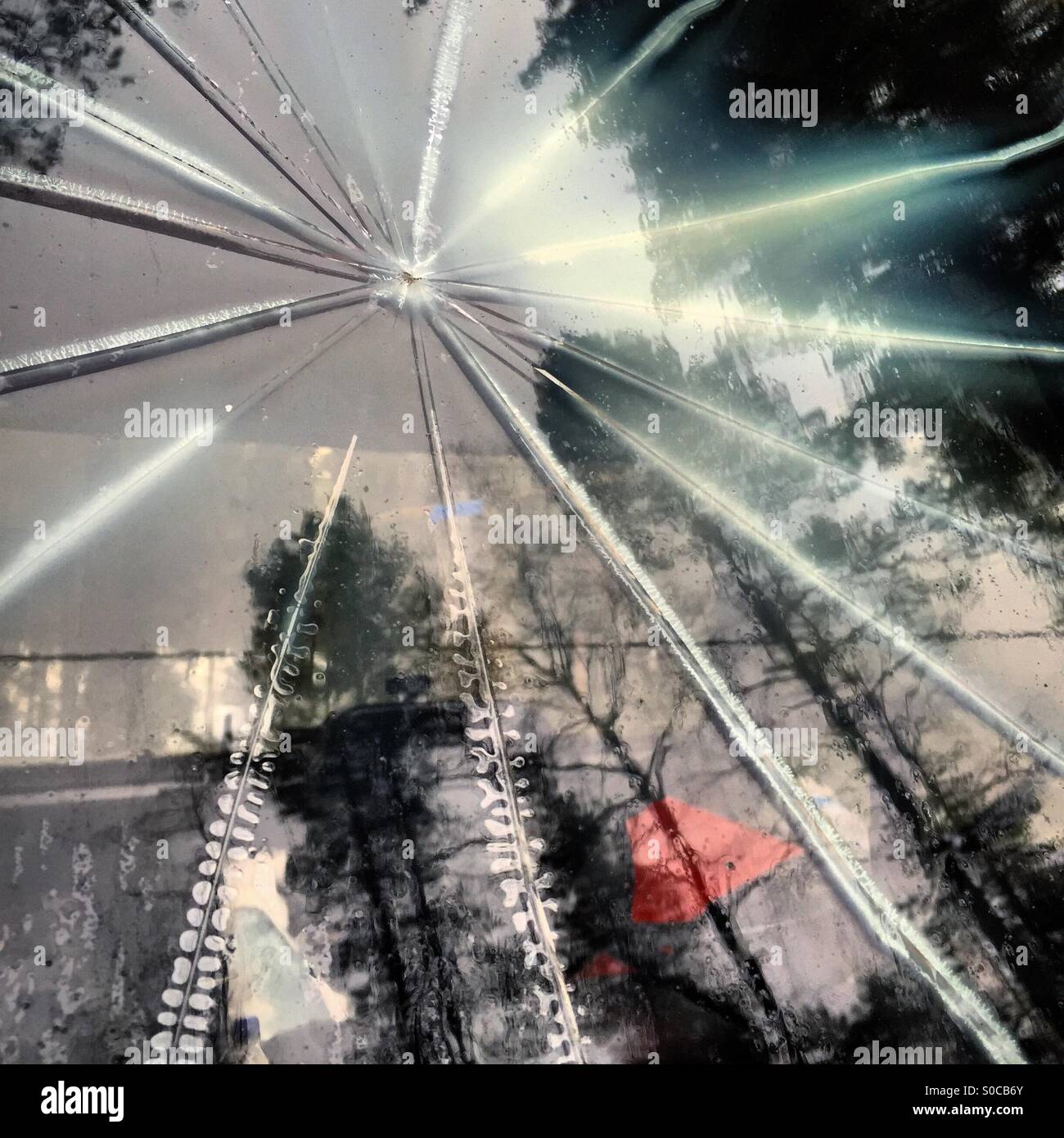 A gunshot style hole in the windscreen of a tractor vehicle deep in a forest - Smartphone Captured Stock Image