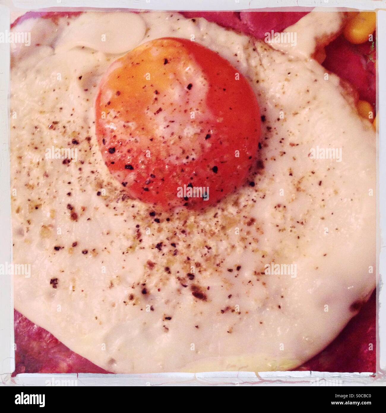 Seasoned fried egg Stock Photo Alamy