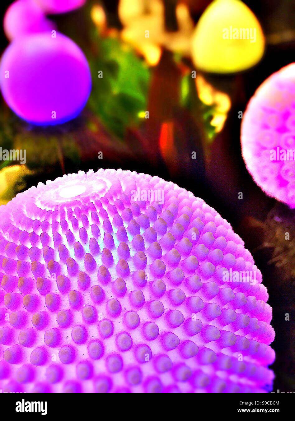 Decorative garden lights - Smartphone Captured Stock Image