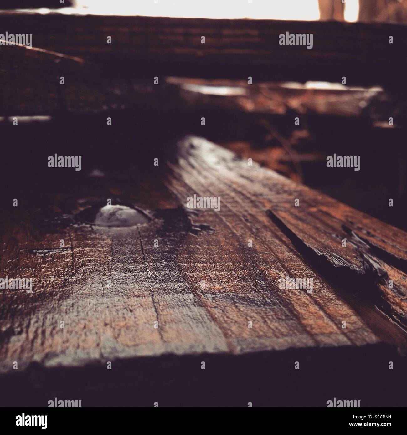 Wood in rain Stock Photo Alamy